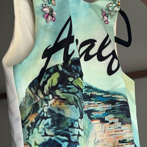 COPY - Dolce and Gabbana Almalfi Shift Dress - Picture 5 of 13